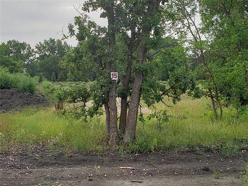 33 Cuthbert Cove, St Francois Xavier, MB 