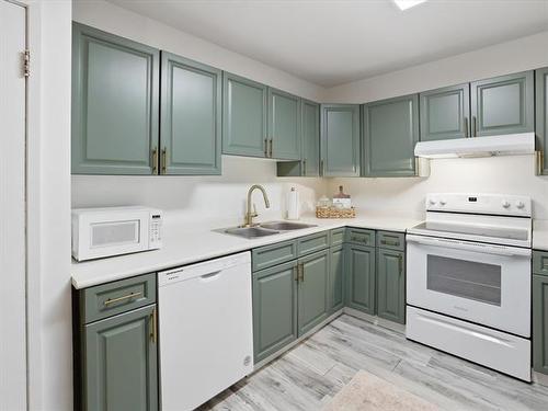 107 Berkshire Bay, Winnipeg, MB - Indoor Photo Showing Kitchen With Double Sink