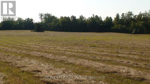2349 Settlers Line, Otonabee-South Monaghan, ON 
