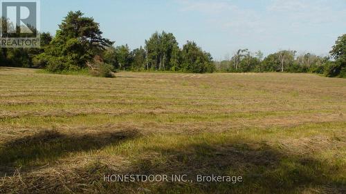 2349 Settlers Line, Otonabee-South Monaghan, ON 