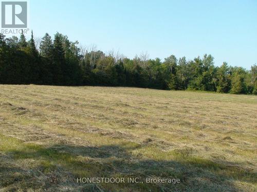 2349 Settlers Line, Otonabee-South Monaghan, ON 