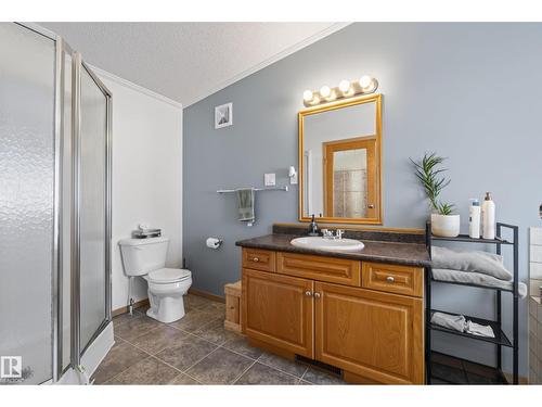 547 Evergreen Park Nw, Edmonton, AB - Indoor Photo Showing Bathroom