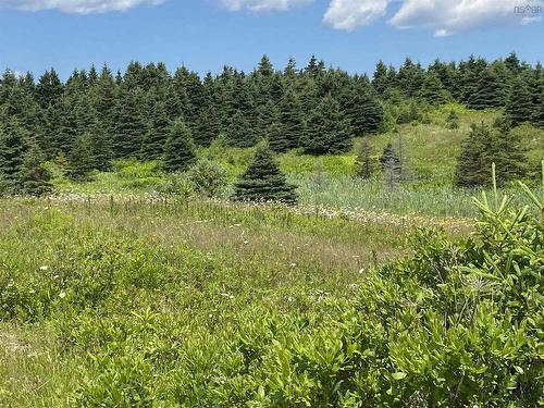 23 Evong Road, L'Ardoise, NS 