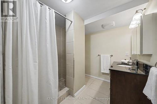 Lower Level Full Bath - 1225 Major Street, Ottawa, ON - Indoor Photo Showing Bathroom