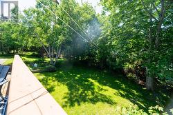 Rear treed yard with tree buffer and grass - 