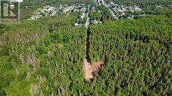 62C Tamarack Avenue  Pasadena, NL A0L 1K0