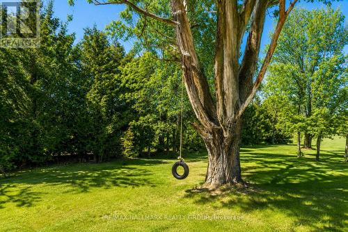 3210 Ritchance Road, Champlain, ON - Outdoor With View