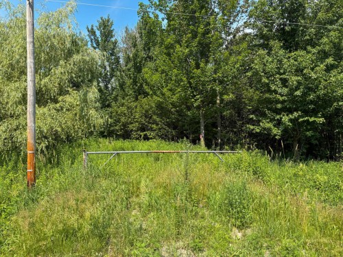 Terre à bois - 11E Rang, Saint-Eugène, QC 