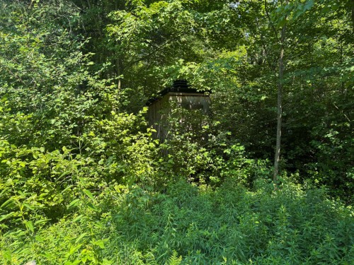 Terre à bois - 11E Rang, Saint-Eugène, QC 