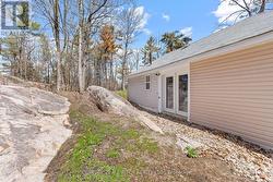 Rear yard behind 2nd Bungalow - 