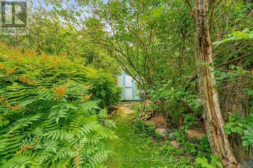 25 Arch Road, Mississauga, ON - Outdoor