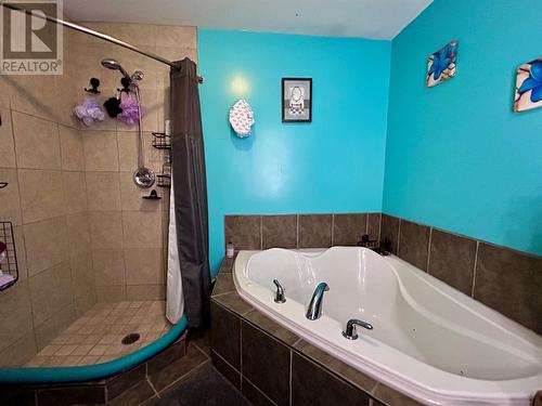 14 Riverhead Road, Corner Brook, NL - Indoor Photo Showing Bathroom