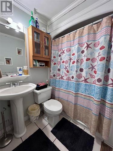 14 Riverhead Road, Corner Brook, NL - Indoor Photo Showing Bathroom