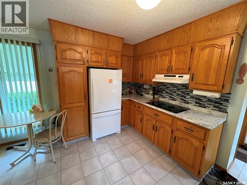 206 March Avenue E, Langenburg, SK - Indoor Photo Showing Kitchen