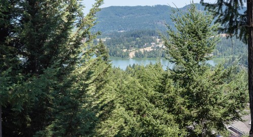6089 Chippewa Rd, Duncan, BC 