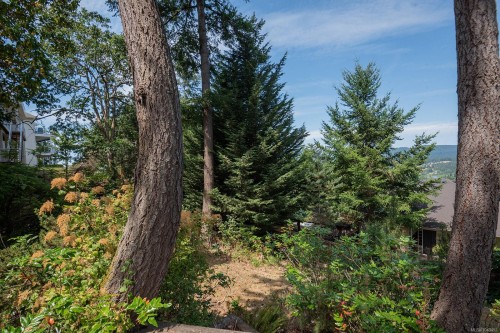 6089 Chippewa Rd, Duncan, BC 