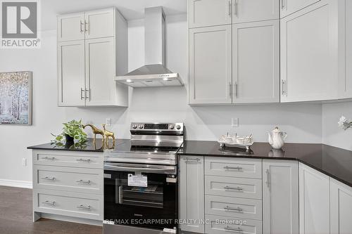67 Starfire Crescent, Hamilton, ON - Indoor Photo Showing Kitchen