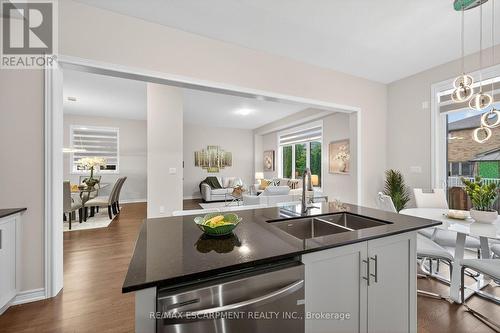 67 Starfire Crescent, Hamilton, ON - Indoor Photo Showing Kitchen With Double Sink With Upgraded Kitchen