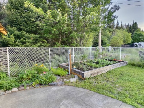 Courtyard - 152 Rue Lafort, Témiscaming, QC - Outdoor