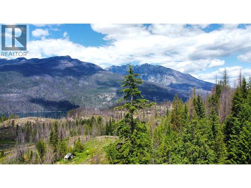 9155 Highway 6, Silverton, BC - Outdoor With View