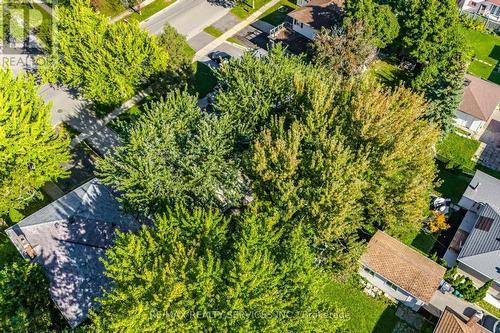 85 Eldomar Avenue, Brampton, ON - Outdoor With View