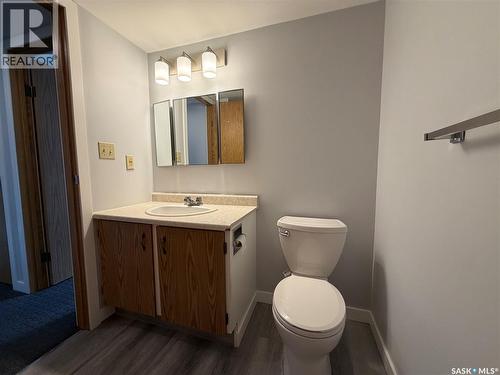 376 Cedar Meadow Drive, Regina, SK - Indoor Photo Showing Bathroom