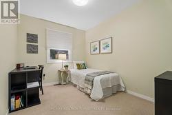 Bright window overlooks leafy tree canopy - 