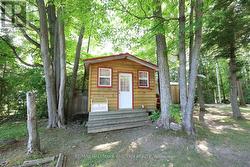 Bunkie - 