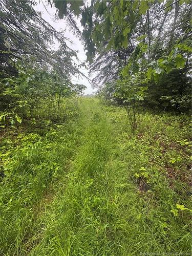 000 Morrow Rd, French Lake, NB 