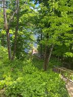 Stairs and Deck to Waterfront - 