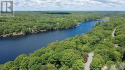 Long Lake (Strathdee Lake) - 