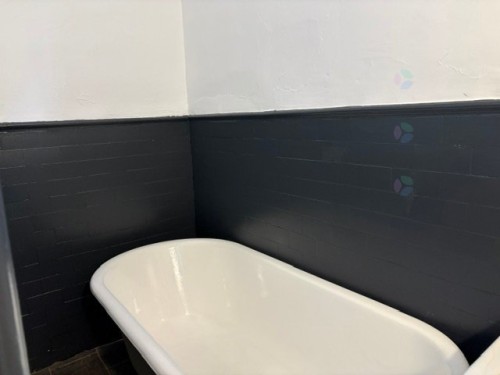 Bathroom - 1-387 Rue Édouard-Charles, Montréal (Le Plateau-Mont-Royal), QC - Indoor Photo Showing Bathroom