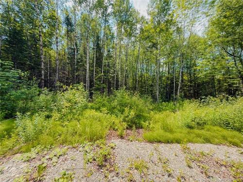 5 Beech St, Beardsley, NB - Outdoor