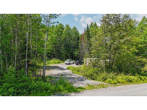 5 Beech St, Beardsley, NB - Outdoor With View
