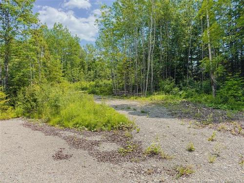 5 Beech St, Beardsley, NB - Outdoor With View