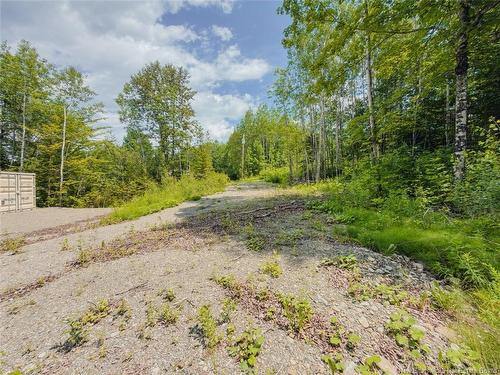 5 Beech St, Beardsley, NB - Outdoor With View