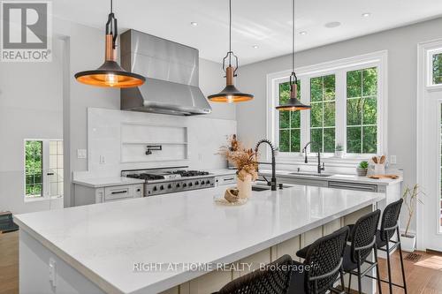 64 Ravina Crescent, Hamilton, ON - Indoor Photo Showing Kitchen With Upgraded Kitchen