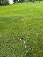Enough space to play golf right on the backyard - 