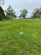Enough space to play golf right on the backyard - 