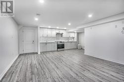 Basement Kitchen + Living Area - 