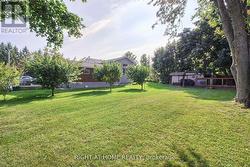 Huge Backyard - 