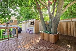 Patio under the Tree - 