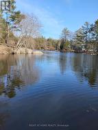 Beautiful river - 