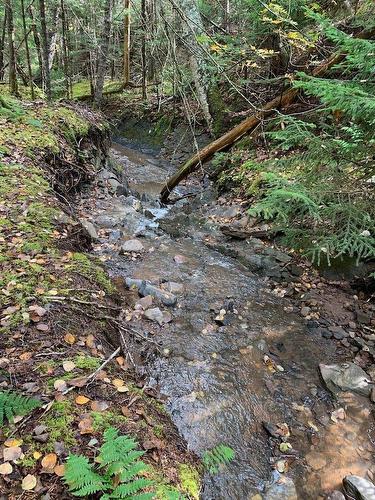 146 Pinky Creek Road, Parrsboro, NS - Outdoor