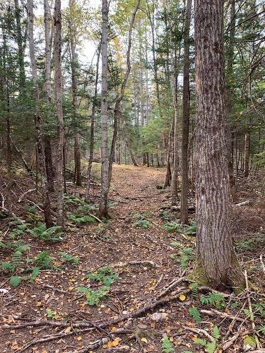 146 Pinky Creek Road, Parrsboro, NS - Outdoor With View