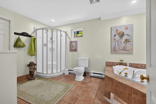 Salle de bains - 751 Ch. Duplessis, Sherbrooke (Fleurimont), QC - Indoor Photo Showing Bathroom