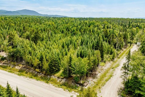 Photo aérienne - Ch. Des Bouleaux, La Patrie, QC 