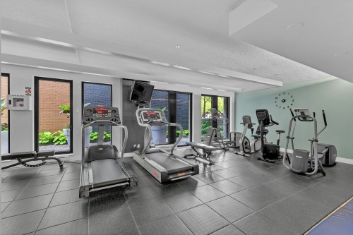 Exercise Room - P1-302-3419 Av. Henri-Julien, Montréal (Le Plateau-Mont-Royal), QC - Indoor Photo Showing Gym Room