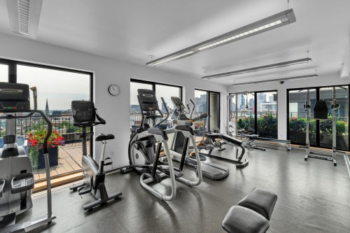 Exercise Room - P1-302-3419 Av. Henri-Julien, Montréal (Le Plateau-Mont-Royal), QC - Indoor Photo Showing Gym Room