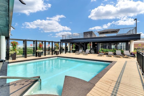 Pool - P1-302-3419 Av. Henri-Julien, Montréal (Le Plateau-Mont-Royal), QC - Outdoor With In Ground Pool